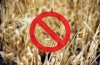 Argentinien: Bauern bestreiken Getreideexporte (Foto: Quetzal-Redaktion, ssc)