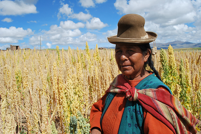 Bolivien: Quinoa Plantage - Foto: Bioversity International, S. Padulosi