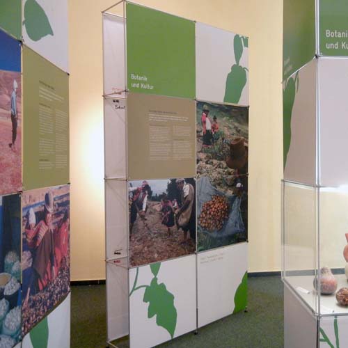 Ausstellung über die Kartoffel im Leipziger Naturkundemuseum (Foto: Quetzal-Redaktion.gt)
