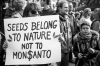 Demonstration gegen den Saatgut- und Düngemittelproduzent Monsanto (25.05.2013) - Foto: Kevin Vanden_
