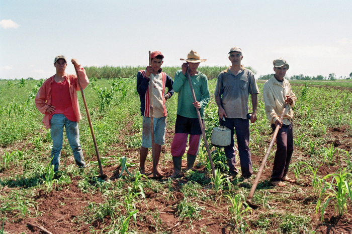 Paraguay: ökologische Landwirtschaft im Alto Parana - Foto: Quetzal-Redaktion, Steffi Holz