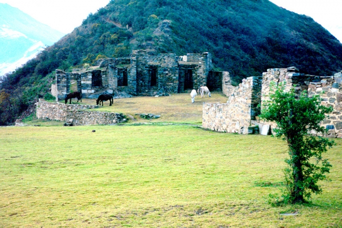 Das zweite Machu Picchu, der Ruinen-Komplex von Choquequirao, als Pferdeweide - Foto: Quetzal-Redaktion, ssc Das zweite Machu Picchu, der Ruinen-Komplex von Choquequirao, als Pferdeweide - Foto: Quetzal-Redaktion, ssc