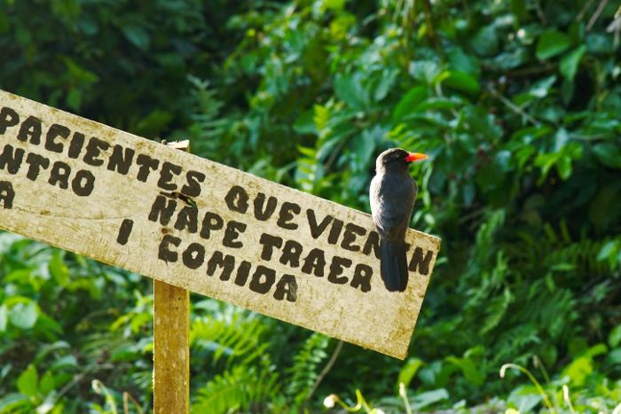 Peru: Alternative Einkünfte für die Indigene Comunidad El Infierno - Foto: Quetzal-Redaktion, ssc